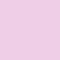 pink orchid